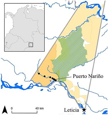 Hunting in Times of Change: Uncovering Indigenous Strategies in the Colombian Amazon Using a Role-Playing Game